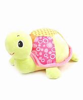 Image result for Child Toy Turtle