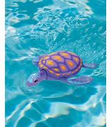 Image result for Rainbow Reef Sea Turtle Pool Toy