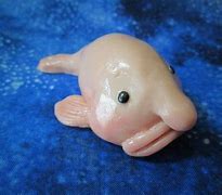 Image result for Blob Fish Eggs