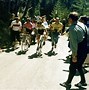 Image result for Bernard Hinault