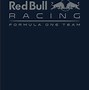 Image result for Red Bull F1