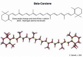 Image result for Beta Carotene Supplements