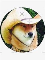 Image result for Cowboy Dog Meme