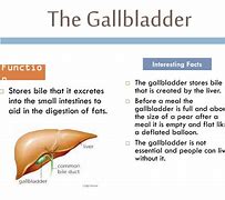 Image result for Function of Gallbladder