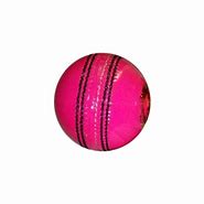 Image result for Cricket Bag Aus