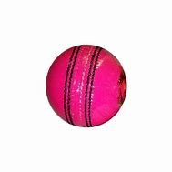 Image result for Cricket Drawing for Kids