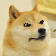 Image result for Angry Doge Meme