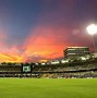 Image result for Cricket Banner Background