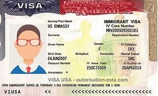 Image result for Formato Visa U