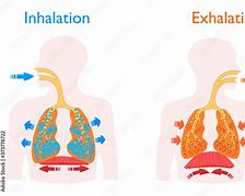Image result for Inhalation Excipients