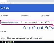 Image result for How to Check Your Email Password