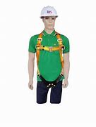 Image result for Full Body Harness Lanyard