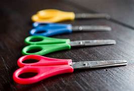 Image result for Best Kitchen Scissors in the World
