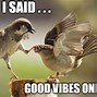 Image result for Good Vibes Dude Meme