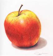 Image result for Apple with Shadow Drawing