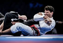 Image result for Brazil Ju Jitsu