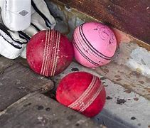 Image result for Cricket Ball Game