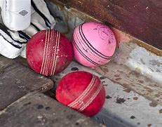 Image result for Cricket Gear