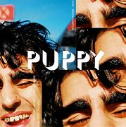 Image result for Puppy Brockhampton Album