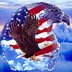Image result for Cool American Flag Symbol