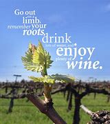 Image result for Vineyard Quotes