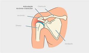 Image result for acromual