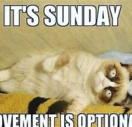Image result for Funny Sunday Funday Memes