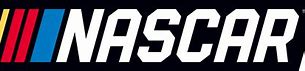 Image result for NASCAR 20 Logo