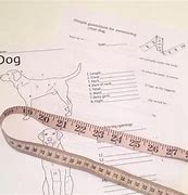 Image result for Dog Measurement Worksheet