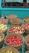 Image result for Most Common Apple Varieties