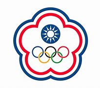 Image result for Chinese Taipei Olympic Flag