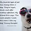 Image result for Humorous Dog Quotes