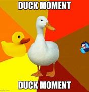 Image result for Disappearing Duck Meme