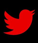 Image result for Red and Black Twitter Logo
