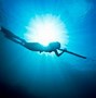 Image result for Pole Spearfishing
