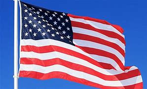 Image result for USA Flag Stars