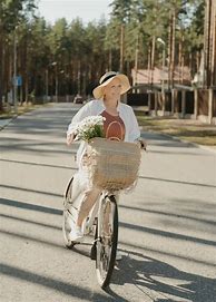 Image result for Electric Bicycles for Seniors