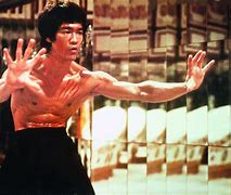 Image result for Bruce Lee Martial Arts Techniques