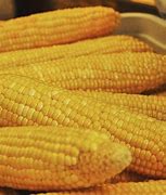 Image result for corneadod