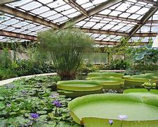 Image result for Greenhouse Glass Clips