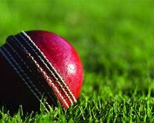 Image result for Cricket Deals