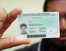 Image result for Could a Work Permit Be a Card