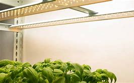 Image result for Commercial LED Grow Lights