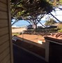 Image result for Blue Dolphin Inn Cambria CA