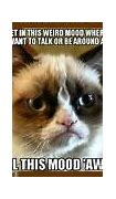 Image result for Grumpy Cat Memes Funny