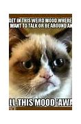 Image result for Kitty Funny Memes Grumpy Cat