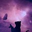Image result for Galaxy Cat Fan Art