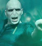 Image result for Lord Voldemort Memes Figure 4