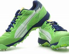 Image result for Cricket Shoes