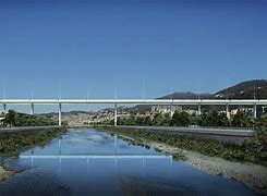 Image result for Polcevera Bridge